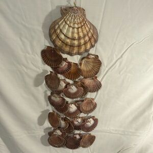Seashell wind chime